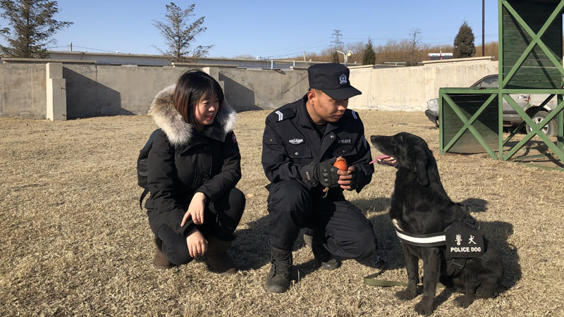 記者同柳宗健（中）一起訓(xùn)練警犬忠誠