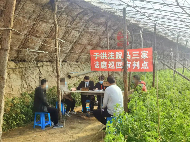 于洪區(qū)法院配圖——巡回法庭開庭