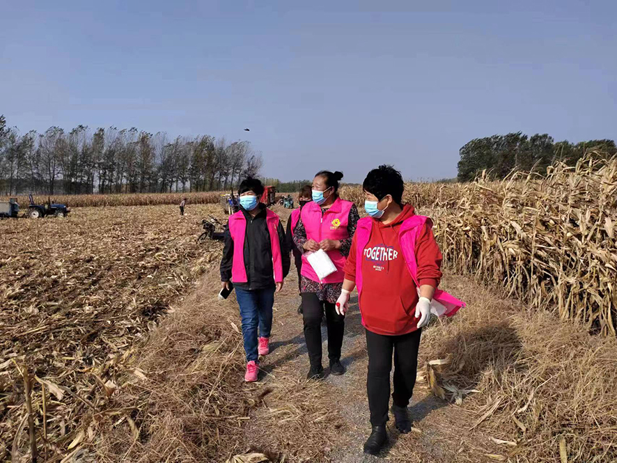 配民主法治示范村：巾幗調(diào)解隊走進(jìn)田間地頭調(diào)解糾紛,。