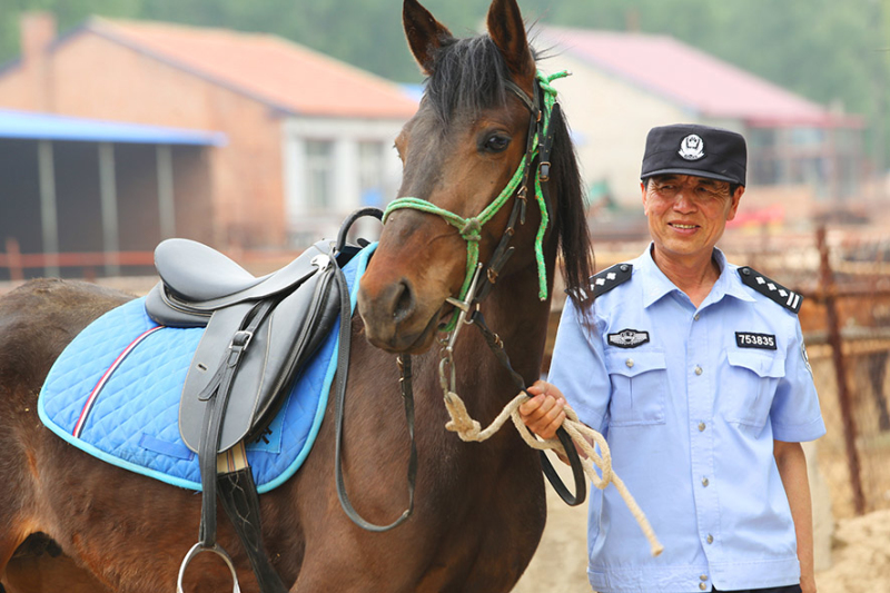民警每天都悉心照料著愛馬,。