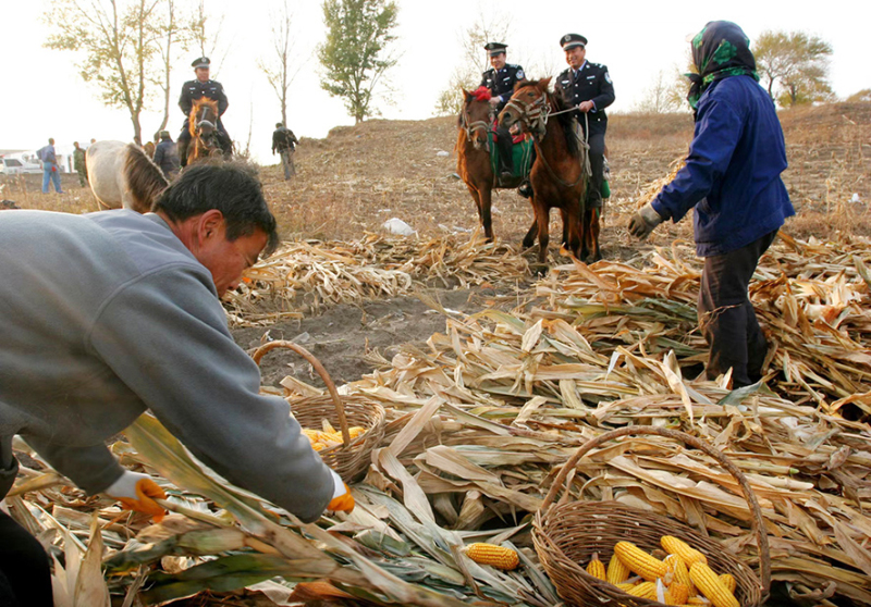 2009年10月,，“馬背110”民警在田間巡邏。