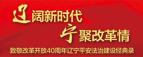 致敬改革開放40周年遼寧平安法治建設(shè)經(jīng)典錄